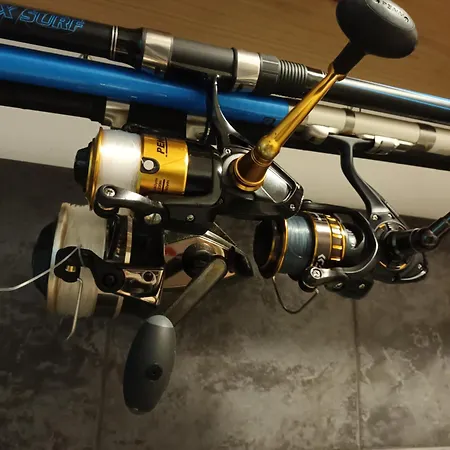 Olhinhos De Azeitona - Quatro Ribeiras *